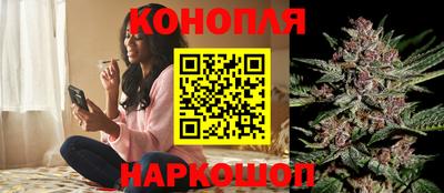 spice Бузулук